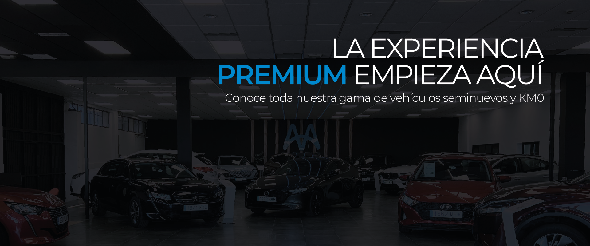 Maven Premium – Calidad y variedad en automoción